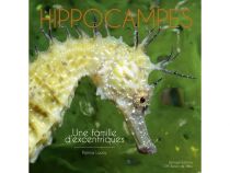 HIPPOCAMPES UNE FAMILLE D\'EXCENTRIQUES