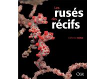 LES RUSÉS DES RÉCIFS