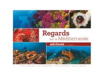 REGARDS SUR LA MÉDITERRANÉE  ABÉCÉDAIRE DU CORALLIGÈNE